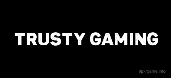 PayPal Authorized Partner